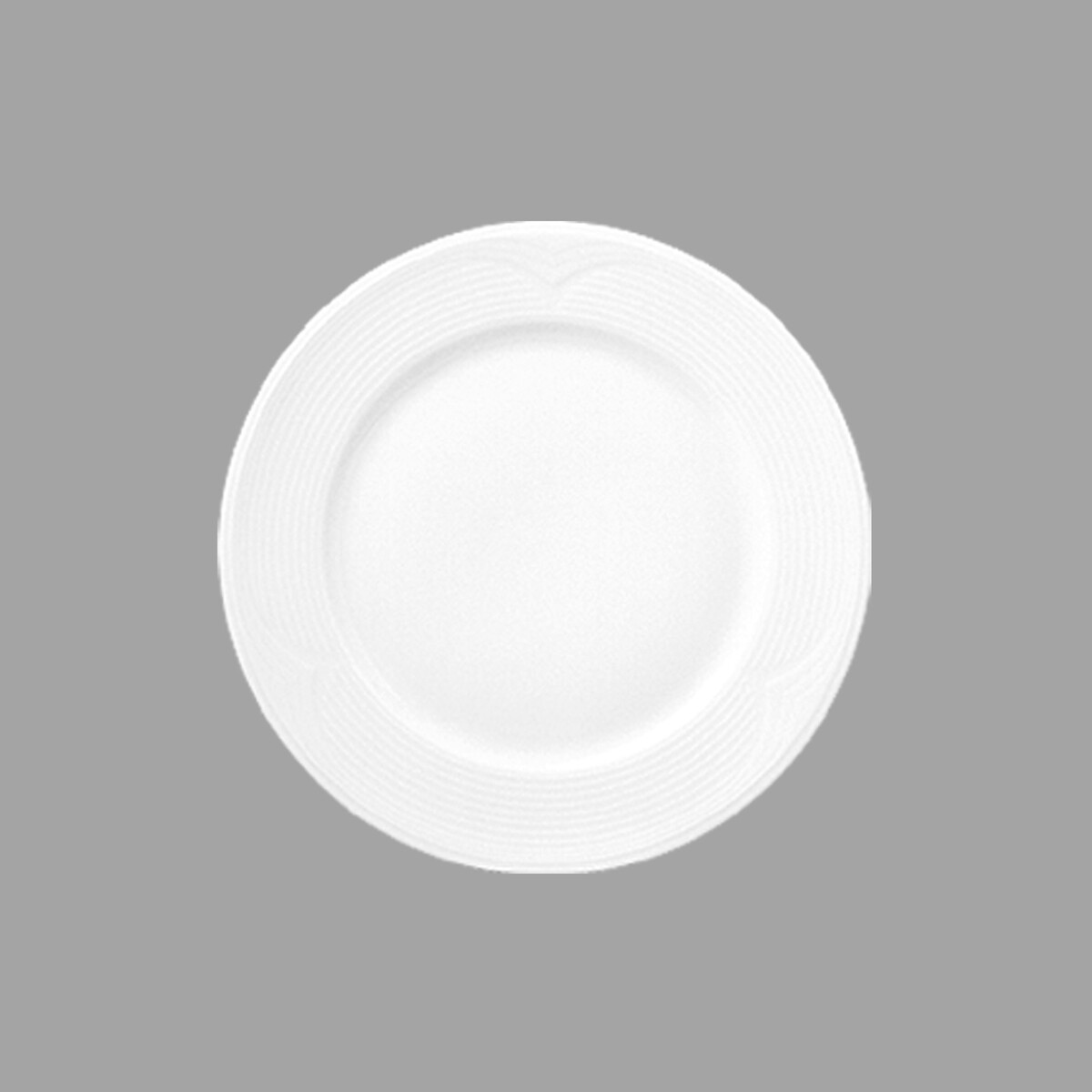 5910.jpg Güral Porselen Horeca White SATURN 24 CM DÜZ TABAK - Görsel 1